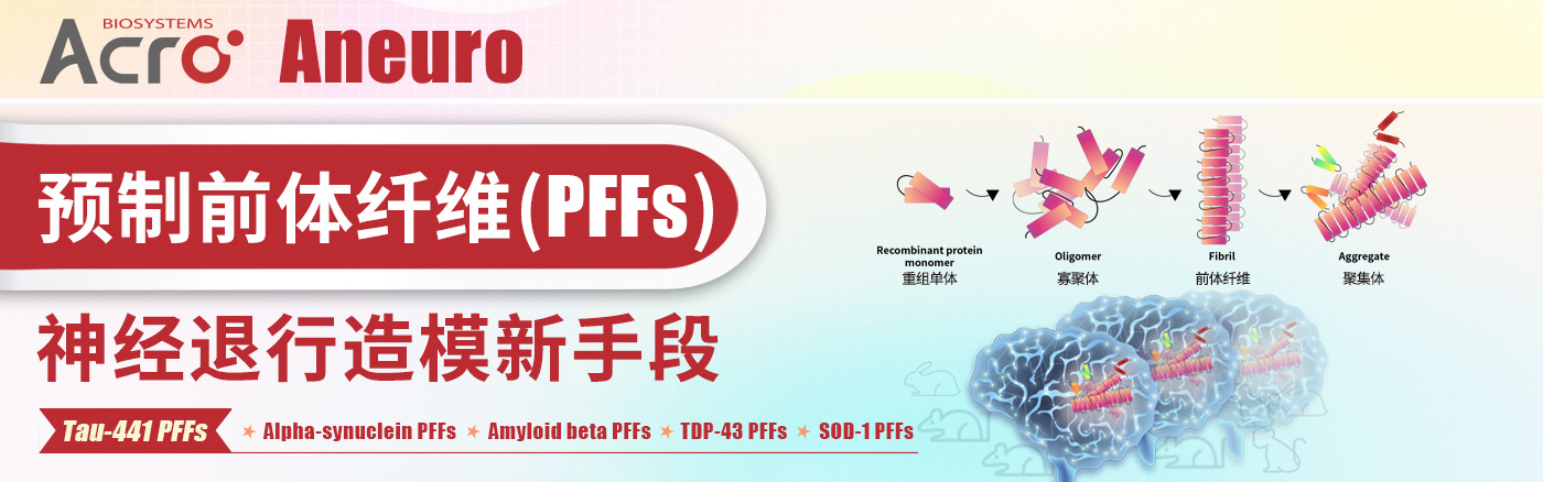 预制前体纤维（PFFs）