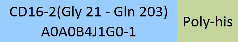 Fc gamma RIV / CD16-2 Structure