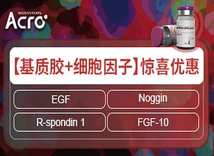 基质胶与细胞因子惊喜优惠