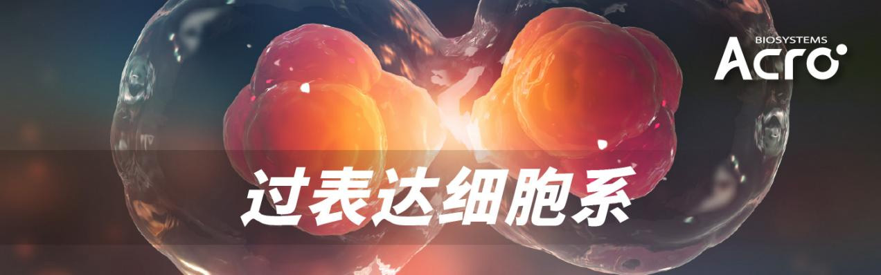 降糖,减重,脂肪肝!三合一代谢治疗药物在华正式开售