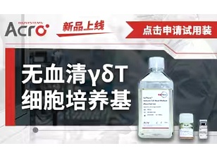 【试用装】无血清γδT细胞培养基