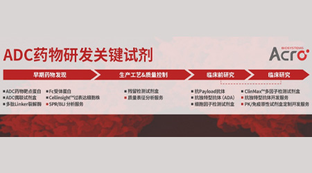 LRRC15：肿瘤治疗的新星，药企竞相布局的潜力靶点