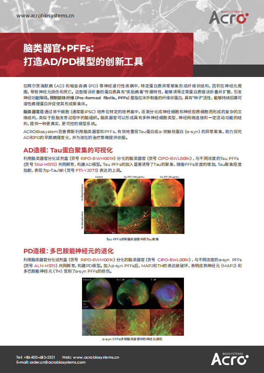  脑类器官+PFFs：打造ADPD模型的创新工具